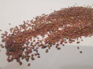 Where is Alluvial garnet sand from Knowledge -1-